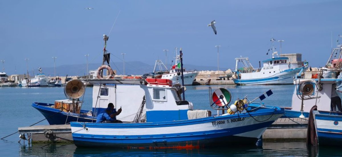 Avviso pubblico Azione 4 “Competitività e sicurezza dell’attività di acquacoltura” Priorità 2 – Obiettivo Specifico 2.1 PN FEAMPA ITALIA 2021/2027 Regolamento (UE) n. 2021/1060, Regolamento (UE) n. 2021/1139.FEAMPA – Fondo Europeo Affari Marittimi Pesca e Acquacoltura 2021-2027