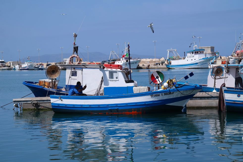 Avviso pubblico Azione 4 “Competitività e sicurezza dell’attività di acquacoltura” Priorità 2 – Obiettivo Specifico 2.1 PN FEAMPA ITALIA 2021/2027 Regolamento (UE) n. 2021/1060, Regolamento (UE) n. 2021/1139.FEAMPA – Fondo Europeo Affari Marittimi Pesca e Acquacoltura 2021-2027