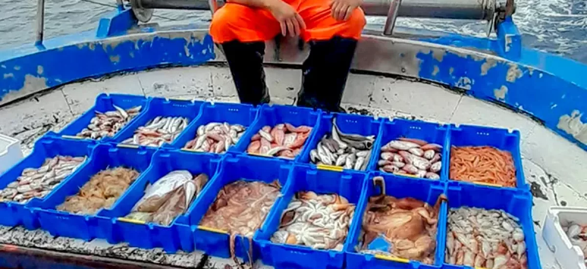 Avviso pubblico Azione 2   “Competitività e sicurezza delle attività di commercializzazione e trasformazione dei prodotti della pesca e acquacoltura” Priorità 2 – Obiettivo Specifico 2.2 PN FEAMPA ITALIA 2021/2027 Regolamento (UE) n. 2021/1060, Regolamento (UE) n. 2021/1139. FEAMPA – Fondo Europeo Affari Marittimi Pesca e Acquacoltura 2021-2027