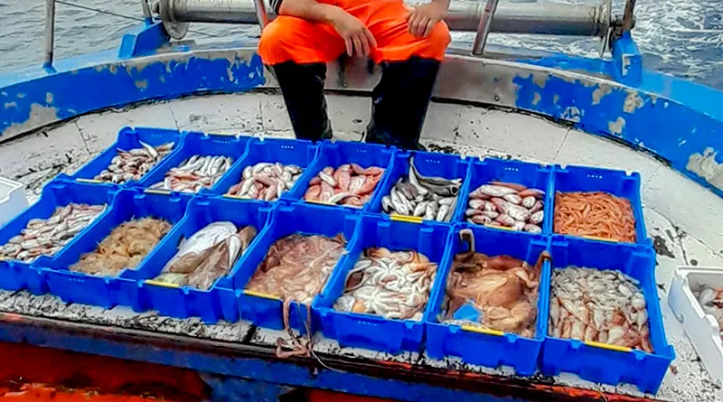 Avviso pubblico Azione 2   “Competitività e sicurezza delle attività di commercializzazione e trasformazione dei prodotti della pesca e acquacoltura” Priorità 2 – Obiettivo Specifico 2.2 PN FEAMPA ITALIA 2021/2027 Regolamento (UE) n. 2021/1060, Regolamento (UE) n. 2021/1139. FEAMPA – Fondo Europeo Affari Marittimi Pesca e Acquacoltura 2021-2027